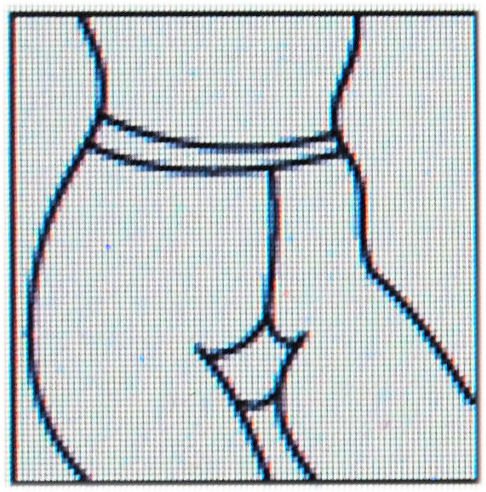 Dámské punčocháče polosilné > varianta AVANA > 5 (44, 46, 48, L-XL, XL, XXL)