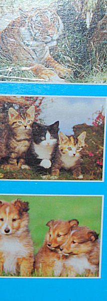 PUZZLE pucle pazl skládačka