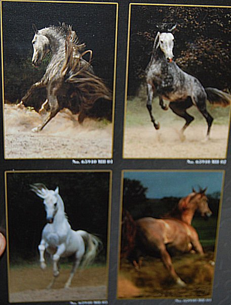 PUZZLE pucle pazl skládačka > varianta GROŠÁK PŘED