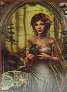 PUZZLE pucle pazl skládačka - 3D > varianta CROW – CRIS ORTEGA