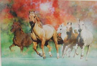 PUZZLE - edice ANIMALS > varianta RUNNES IN THE WIND