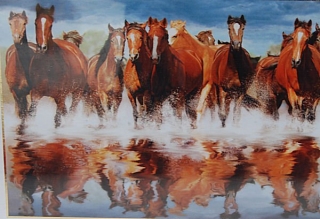 PUZZLE - edice ANIMALS > varianta HORSES IN THE WATER