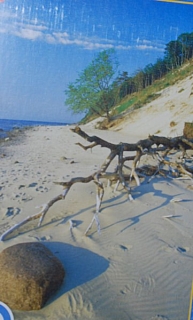 PUZZLE pucle pazl skládačka