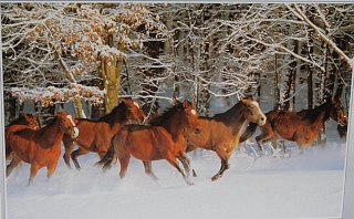 PUZZLE pucle pazl skládačka > varianta KONĚ
